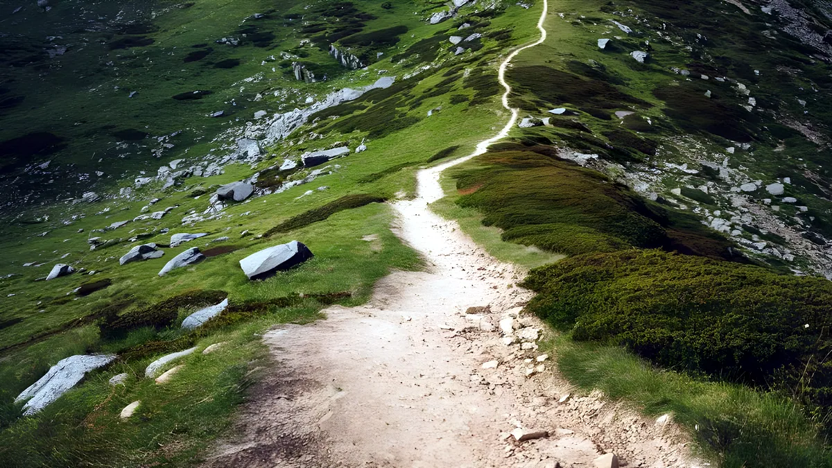 A narrow mountain trail winding upward through misty pines toward a distant peak.